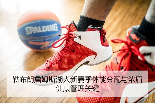 勒布朗詹姆斯湖人新赛季体能分配与浓眉健康管理关键